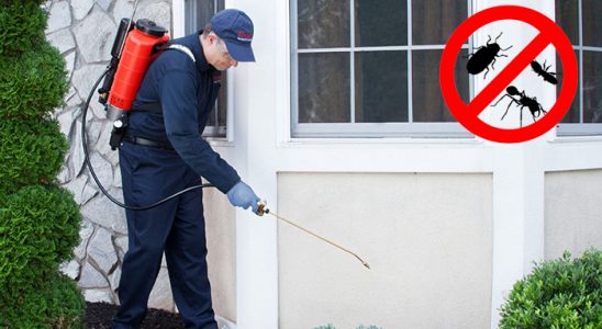 Şişli Haşere İlaçlama böcek ilaçlama ve haşere kontrolü — ilaclama-tr.com